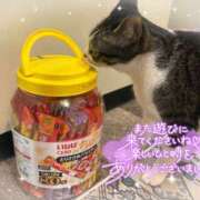 ヒメ日記 2025/04/23 22:30 投稿 浅倉　一花 スッキリ商事