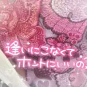 ヒメ日記 2025/04/25 09:30 投稿 浅倉　一花 スッキリ商事