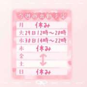 ヒメ日記 2025/04/27 13:00 投稿 浅倉　一花 スッキリ商事