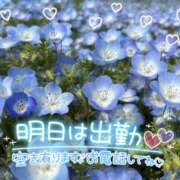 ヒメ日記 2025/04/28 16:30 投稿 浅倉　一花 スッキリ商事