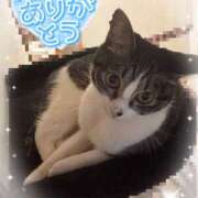 ヒメ日記 2025/05/10 22:30 投稿 浅倉　一花 スッキリ商事