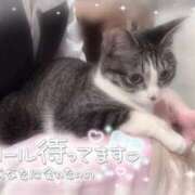 ヒメ日記 2025/05/12 17:18 投稿 浅倉　一花 スッキリ商事