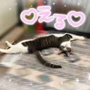 ヒメ日記 2025/05/18 09:00 投稿 浅倉　一花 スッキリ商事