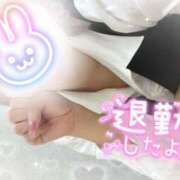 ヒメ日記 2025/05/27 22:30 投稿 浅倉　一花 スッキリ商事