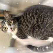 ヒメ日記 2025/05/28 09:30 投稿 浅倉　一花 スッキリ商事