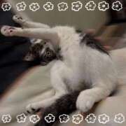 ヒメ日記 2025/06/03 09:30 投稿 浅倉　一花 スッキリ商事