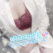 ヒメ日記 2025/06/08 09:30 投稿 浅倉　一花 スッキリ商事