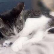 ヒメ日記 2025/06/11 14:14 投稿 浅倉　一花 スッキリ商事