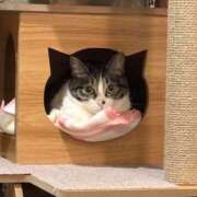 ヒメ日記 2025/06/14 23:00 投稿 浅倉　一花 スッキリ商事