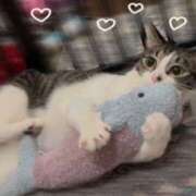 ヒメ日記 2025/06/24 22:30 投稿 浅倉　一花 スッキリ商事