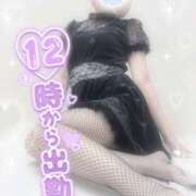 ヒメ日記 2025/06/30 22:30 投稿 浅倉　一花 スッキリ商事