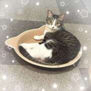 ヒメ日記 2025/07/04 22:30 投稿 浅倉　一花 スッキリ商事