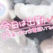 ヒメ日記 2025/07/06 09:30 投稿 浅倉　一花 スッキリ商事