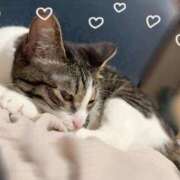 ヒメ日記 2025/07/15 09:30 投稿 浅倉　一花 スッキリ商事