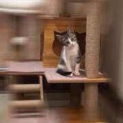 ヒメ日記 2025/08/08 22:30 投稿 浅倉　一花 スッキリ商事