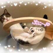 ヒメ日記 2025/08/21 09:30 投稿 浅倉　一花 スッキリ商事