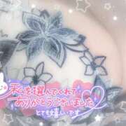 ヒメ日記 2025/08/28 22:30 投稿 浅倉　一花 スッキリ商事