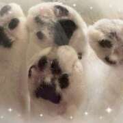 ヒメ日記 2025/08/30 22:30 投稿 浅倉　一花 スッキリ商事