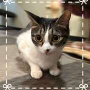 ヒメ日記 2025/09/04 22:30 投稿 浅倉　一花 スッキリ商事