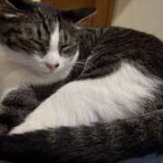 ヒメ日記 2025/09/12 09:30 投稿 浅倉　一花 スッキリ商事