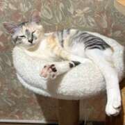 ヒメ日記 2025/09/25 00:00 投稿 浅倉　一花 スッキリ商事