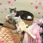 ヒメ日記 2025/11/06 09:30 投稿 浅倉　一花 スッキリ商事