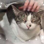 ヒメ日記 2025/11/14 22:30 投稿 浅倉　一花 スッキリ商事