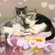 ヒメ日記 2025/11/17 22:30 投稿 浅倉　一花 スッキリ商事