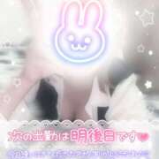 ヒメ日記 2025/11/29 23:00 投稿 浅倉　一花 スッキリ商事