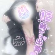 ヒメ日記 2025/12/10 22:30 投稿 浅倉　一花 スッキリ商事