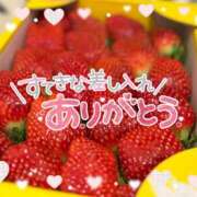 ヒメ日記 2025/12/11 22:30 投稿 浅倉　一花 スッキリ商事