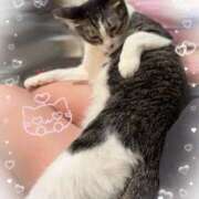 ヒメ日記 2025/12/13 10:00 投稿 浅倉　一花 スッキリ商事