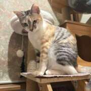 ヒメ日記 2025/12/20 11:18 投稿 浅倉　一花 スッキリ商事