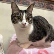 ヒメ日記 2026/01/10 23:30 投稿 浅倉　一花 スッキリ商事