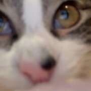 ヒメ日記 2026/01/26 22:30 投稿 浅倉　一花 スッキリ商事