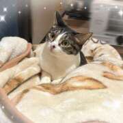 ヒメ日記 2026/01/30 22:30 投稿 浅倉　一花 スッキリ商事