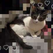 ヒメ日記 2026/02/12 15:39 投稿 浅倉　一花 スッキリ商事