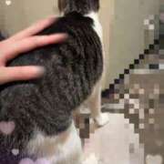 ヒメ日記 2026/02/23 11:43 投稿 浅倉　一花 スッキリ商事