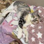 ヒメ日記 2026/02/24 22:30 投稿 浅倉　一花 スッキリ商事