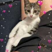 ヒメ日記 2026/03/18 20:00 投稿 浅倉　一花 スッキリ商事