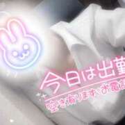 ヒメ日記 2026/04/11 09:30 投稿 浅倉　一花 スッキリ商事