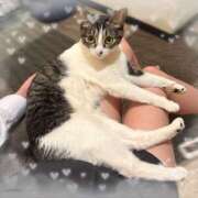 ヒメ日記 2026/04/13 23:00 投稿 浅倉　一花 スッキリ商事