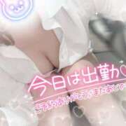 ヒメ日記 2026/04/14 09:30 投稿 浅倉　一花 スッキリ商事