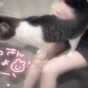 ヒメ日記 2026/04/21 12:30 投稿 浅倉　一花 スッキリ商事