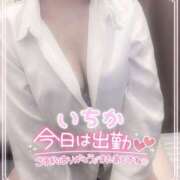 ヒメ日記 2026/07/14 10:00 投稿 浅倉　一花 スッキリ商事