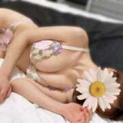 ヒメ日記 2025/02/20 23:24 投稿 らむ 桜sakura(名古屋)