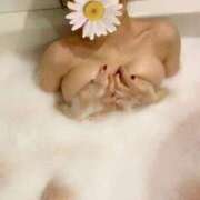 ヒメ日記 2025/05/19 15:08 投稿 らむ 桜sakura(名古屋)