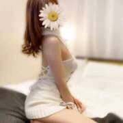 ヒメ日記 2025/07/02 23:38 投稿 らむ 桜sakura(名古屋)