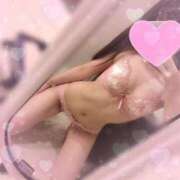 ヒメ日記 2025/02/19 08:41 投稿 おと 桜sakura(名古屋)