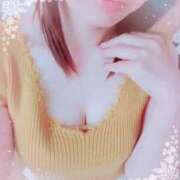 ヒメ日記 2026/03/30 09:45 投稿 めい 桜sakura(名古屋)